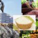 Lạm phát và cắt giảm chi tiêu sẽ là rào cản lớn nhất của xuất khẩu nông lâm thuỷ sản