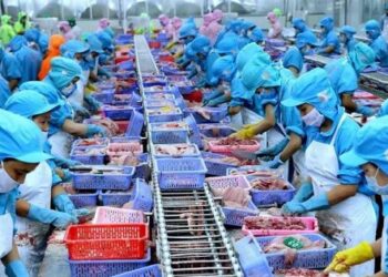 Doanh nghiệp thủy sản báo lãi quý III tăng bằng lần so với cùng kỳ