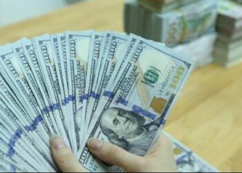 Ngân hàng Nhà nước: Hỗ trợ lãi suất cho vay ngoại tệ có thể gây ra áp lực tới tỷ giá