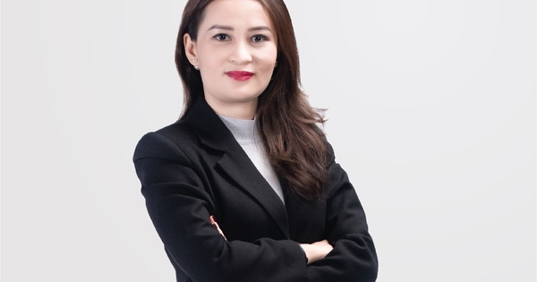Trưởng Ban kiểm soát mới của Ngân hàng VPBank là ai?