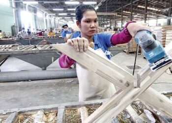 Cổ phiếu tăng trần 5 phiên liên tiếp, Gỗ Trường Thành (TTF) nói gì?