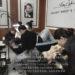 Kim Anh PMU & Academy: Nơi Hội Tụ Những Kỹ Thuật Phun Xăm Thẩm Mỹ Chuyên Sâu Tại Gia Lai